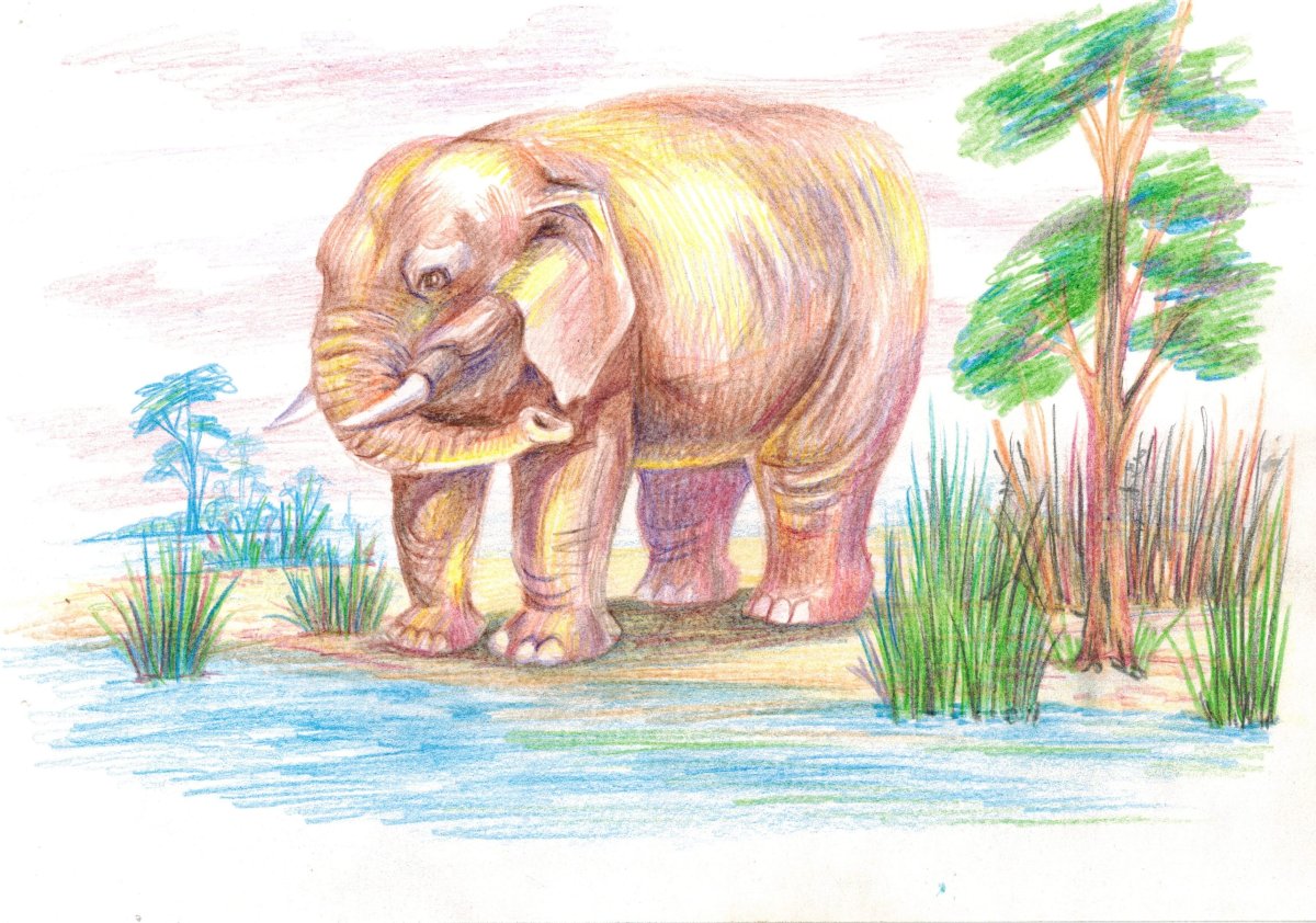 Карнавал зверей книга