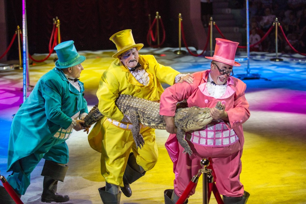 Клоун из цирка