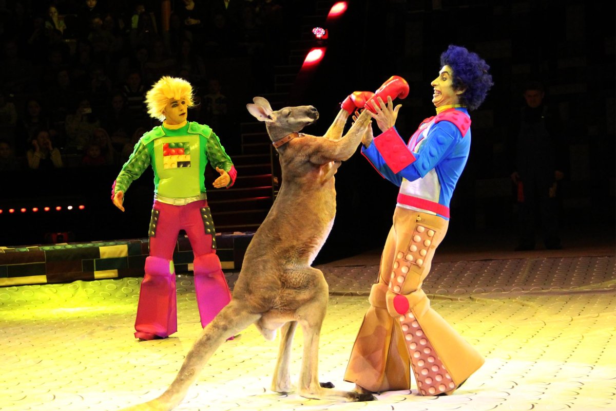 Юрий Никулин 2021