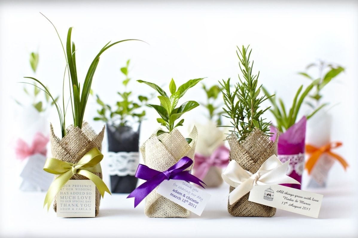 Экологичные подарки