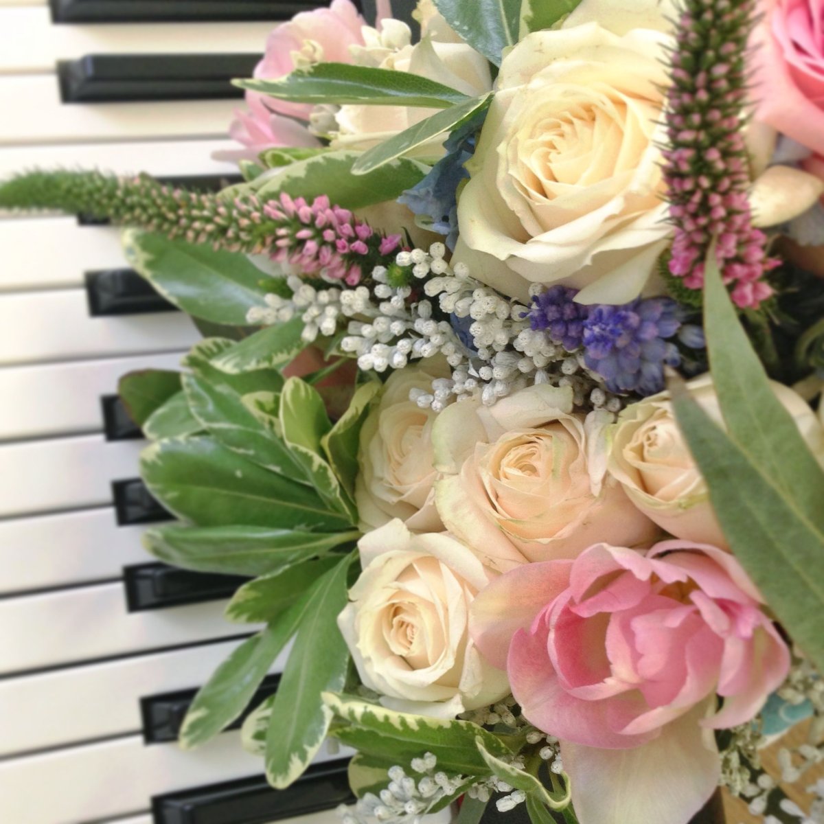 Цветы для музыканта