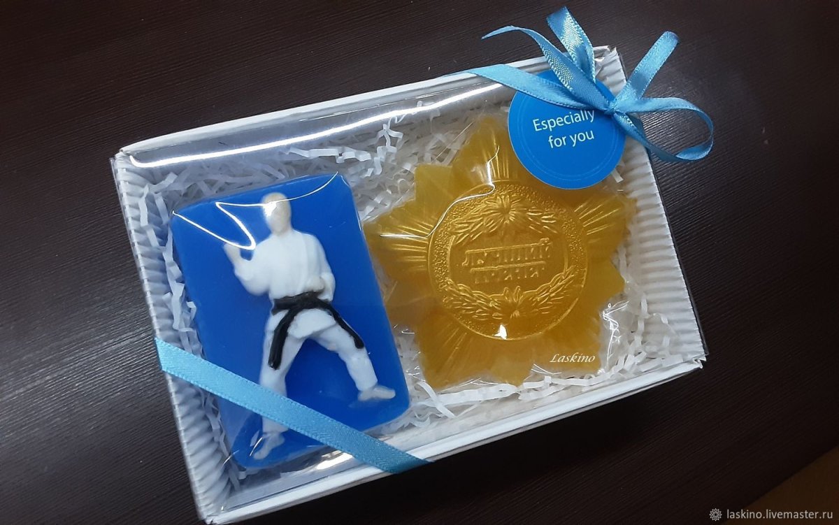 Обложка на паспорт киокушинкай